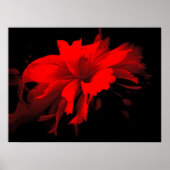 Poster carrousel 2 (Devant)