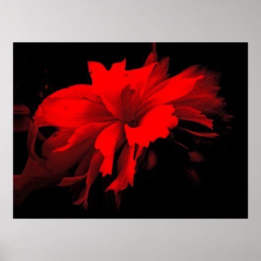 Poster carrousel 2 (Devant)