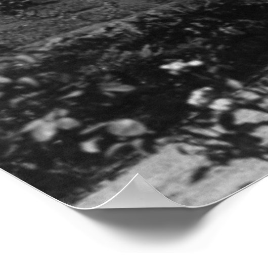 Poster Carson, WA Shipherd's Springs Hotel View (Coin)