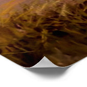 Poster "Carson's Men" de Charles Russell (Coin)