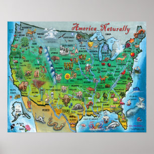 Poster Carte amusante de l'Amérique naturelle