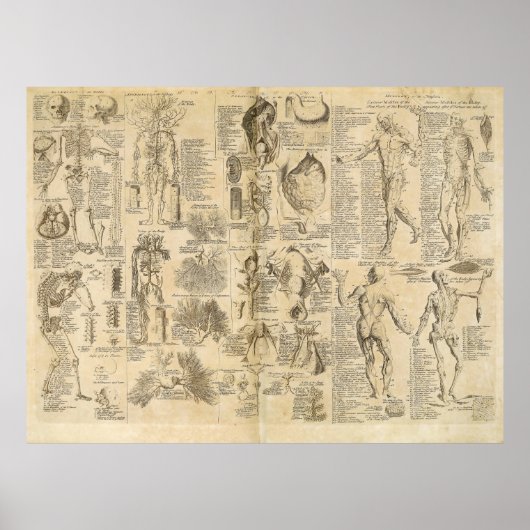Poster Carte anatomique de Cyclopaedia 1728 (Devant)
