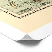 Poster Carte Antarctique 1912 (Coin)