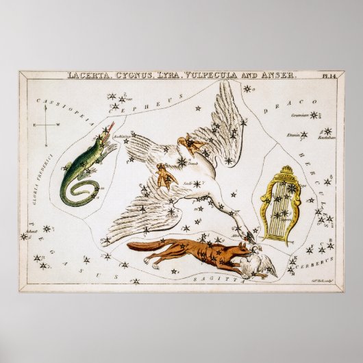 Poster Carte astronomique céleste vintage (Devant)
