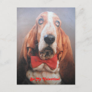 Poster Carte Basset Hound Dans Red Bow Cravate, Be