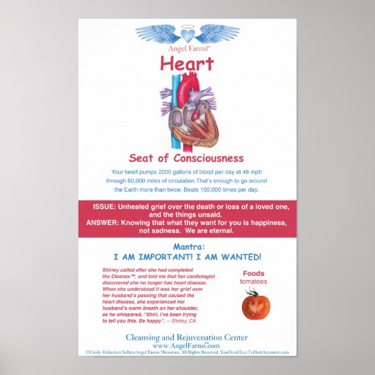 Poster Carte cardiaque des fermes d'anges (Devant)