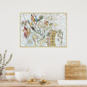 Poster Carte céleste des constellations du ciel sud vinta (Cuisine)