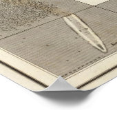 Poster Carte Celestial (Coin)