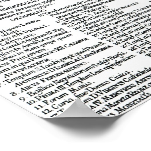 Poster Carte d'Anvers (Coin)