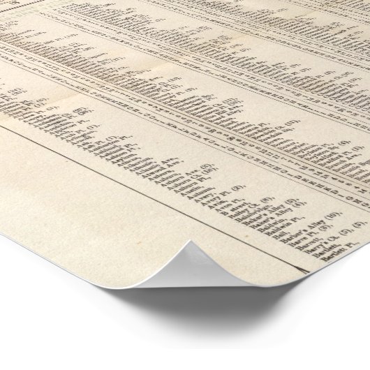 Poster Carte De Boston (Coin)