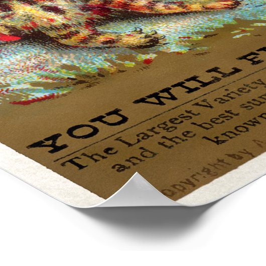 Poster Carte de commerce pour chats Frears #5 (sur 6) (Coin)