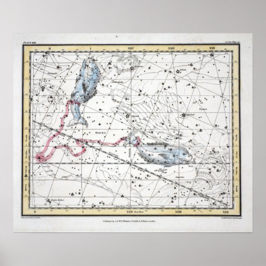 Poster Carte de la plaque de constellations XXII (Devant)