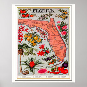 Poster Carte de la prime de la Floride 16x20
