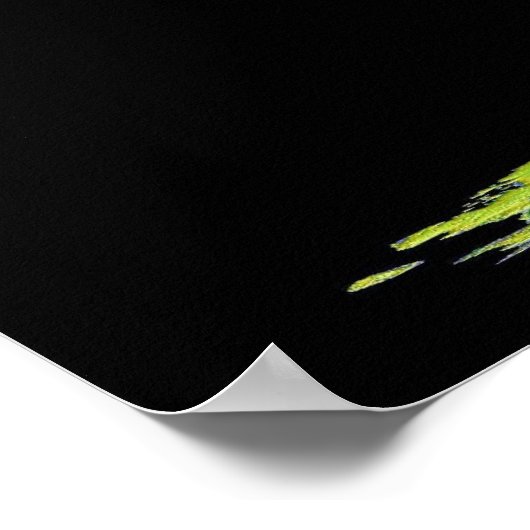 Poster Carte de la Terre (Coin)