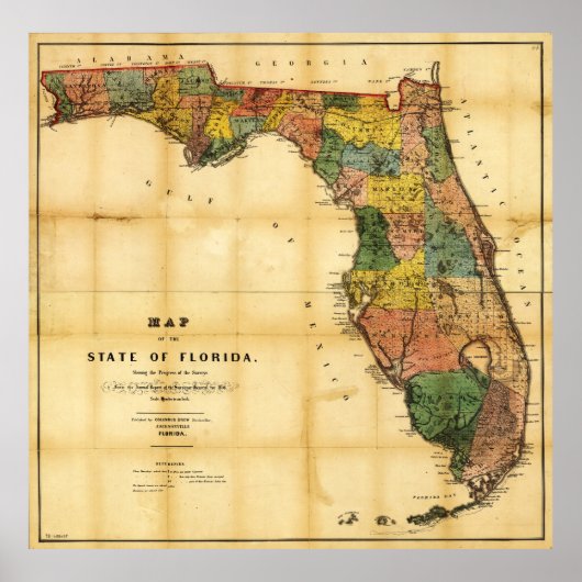 Poster Carte de l'État de Floride (1856) (Devant)