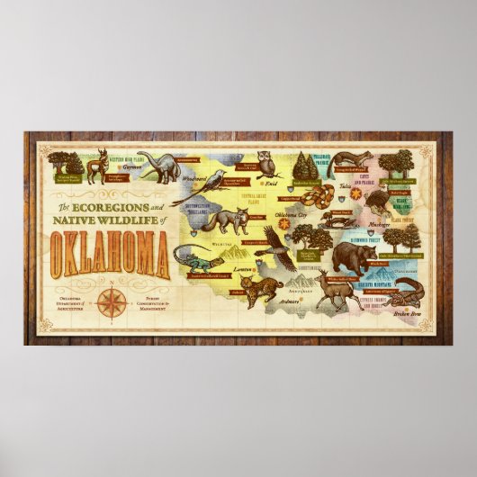 Poster Carte de l'Oklahoma : Écorégions et faune autochto (Devant)
