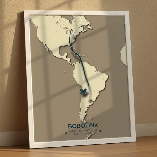 Poster Carte de migration Bobolink - Vintage minimal