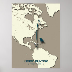 Poster Carte de migration de Bunting Indigo - Vintage min