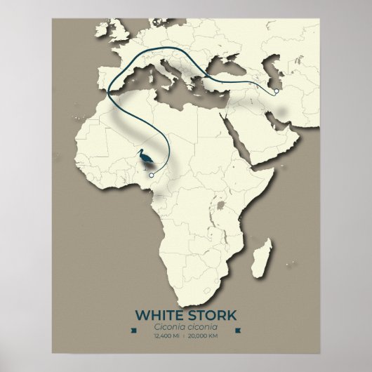Poster Carte de migration de la cigogne blanche - Bir Vin (Devant)
