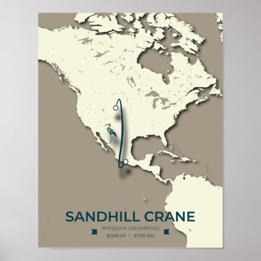 Poster Carte de migration de la grue de Sandhill - Minima (Devant)
