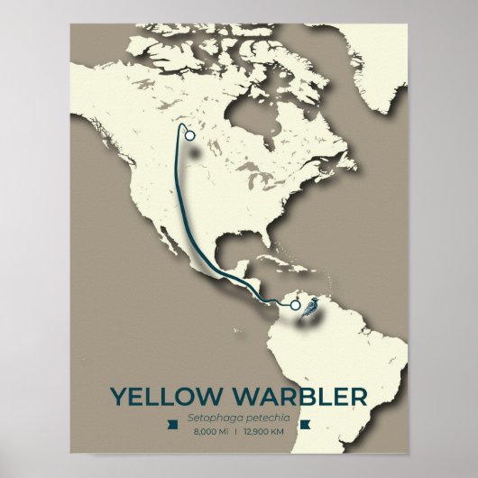 Poster Carte de migration de la Paruline Jaune - Minimali (Devant)