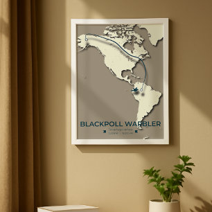 Poster Carte de migration de la Paruline noire - Minimali