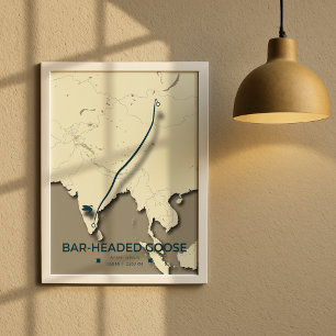 Poster Carte de migration des oies à tête de barre - Mini