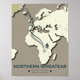 Poster Carte de migration des roues du Nord - Minimaliste