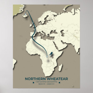 Poster Carte de migration des roues du Nord - Minimaliste