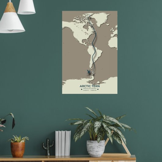 Poster Carte de migration des sternes arctiques - Vintage (Salon 1)