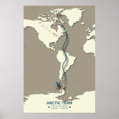 Poster Carte de migration des sternes arctiques - Vintage (Devant)