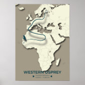 Poster Carte de migration du balbuzard occidental - Vinta (Devant)
