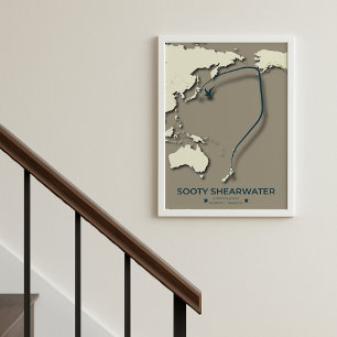 Poster Carte de migration Sooty Shearwater - Minimaliste