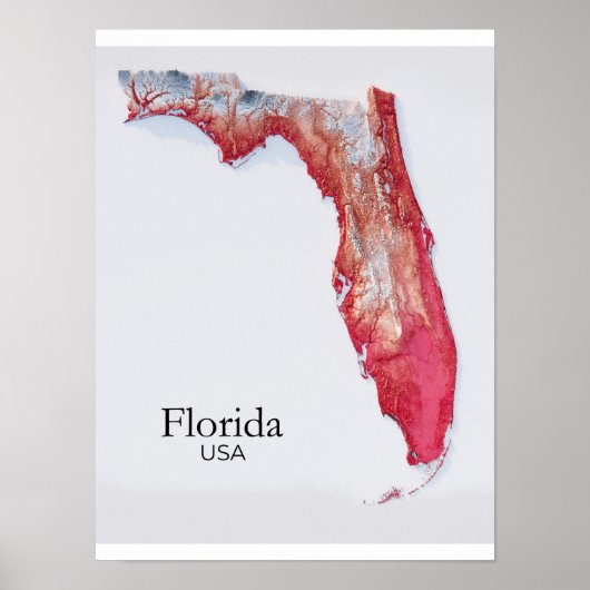 Poster Carte de soulagement de Floride Texture Rouge (Devant)