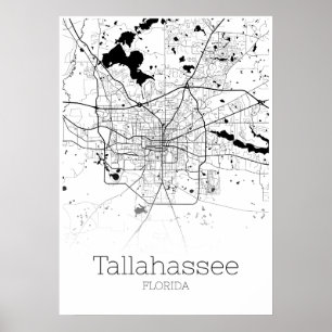 Poster Carte de Tallahassee - Floride - Carte de la ville