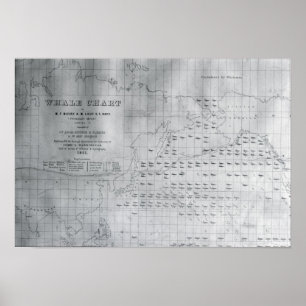 Poster Carte des baleines du Pacifique Nord, 1851