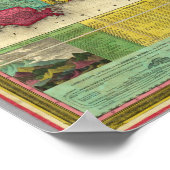 Poster Carte des États-Unis (Coin)