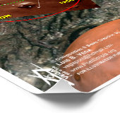 Poster Carte des étoiles de Mexico (Coin)