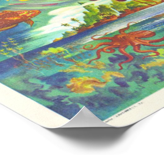 Poster Carte des îles Hawaii (Coin)