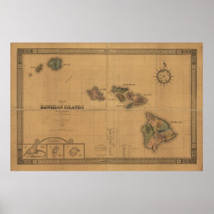 Poster Carte des îles Hawaiiennes (1876)