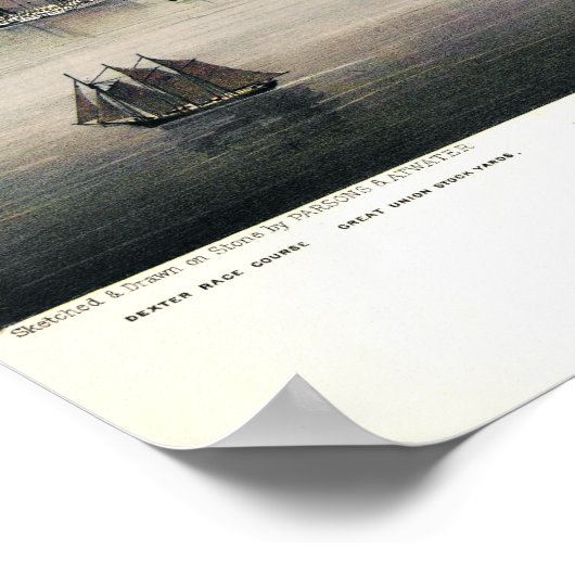 Poster Carte des oiseaux de Chicago - 1874 (Parsons & Atw (Coin)