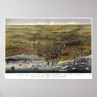 Poster Carte des oiseaux de Chicago - 1874 (Parsons & Atw