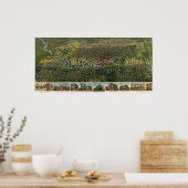 Poster Carte des oiseaux de Houston, Texas (1891) réimpre (Cuisine)