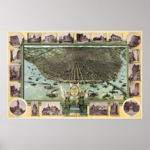 Poster Carte des oiseaux de Saint-Louis - 1896 (Graf) Big