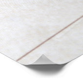 Poster Carte des USA (Coin)