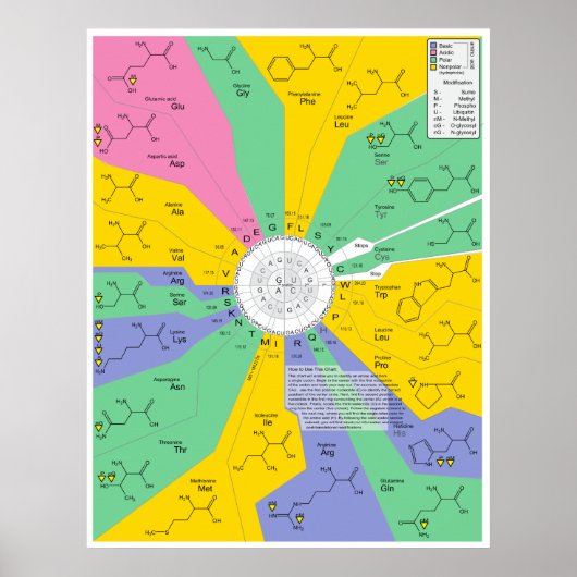 Poster Carte d'identification de la molécule chimique aci (Devant)