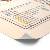 Poster Carte ethnographique du monde (Coin)