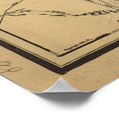 Poster Carte ferroviaire de l'Illinois vintage (1897) (Coin)