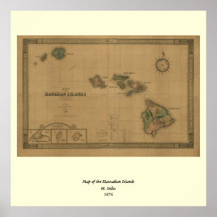 Poster Carte Hawaii 1876 vintage - Îles Hawaii