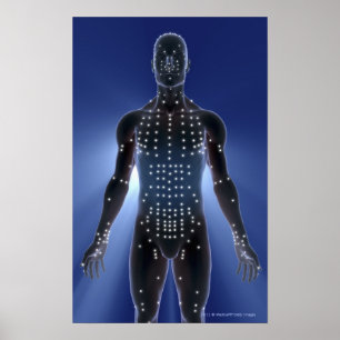 Poster Carte légère des points d'acuponcture
